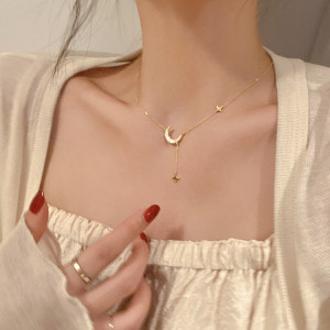 Moon and Star Necklace HN2373