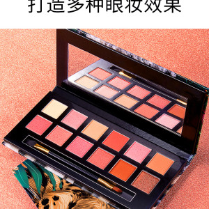 Twelve color eye shadow makeup XXM30592